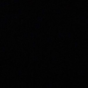 Meet your Posher, Belle